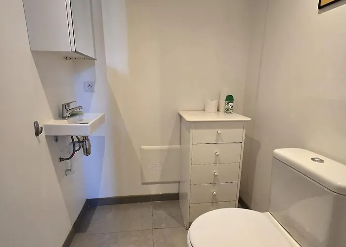 Apartment Monument Historique Renove Avec Gout Et Jardin