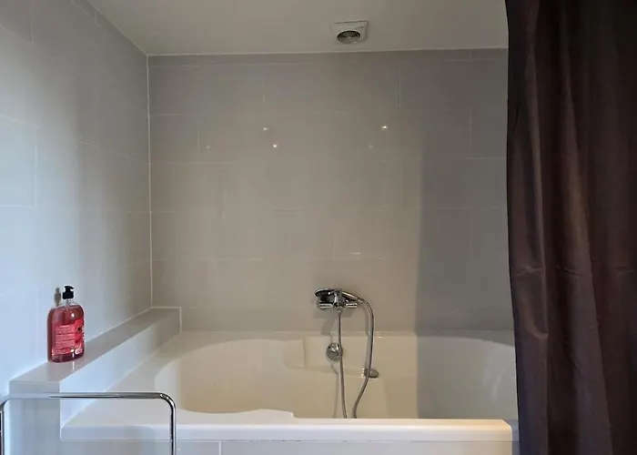 Апартаменты Ancien Palais De Justice Et Jardin